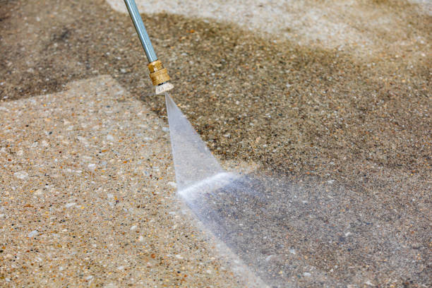 Best Animal Enclosure Cleaning  in Carrollton, IL